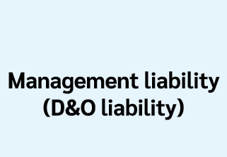 Management liability (D&O liability)