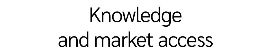 Knowledge and market access