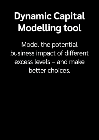 Dynamic Capital Modelling tool Model the potential business impact of different excess levels – and make better choices.
